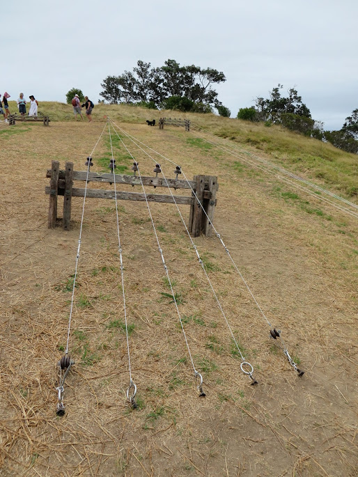 Crossed Wires by Sharonagh Montrose and Helen Bowater