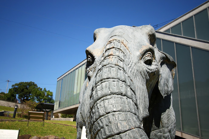 壱岐文化ホールにいるナウマン象