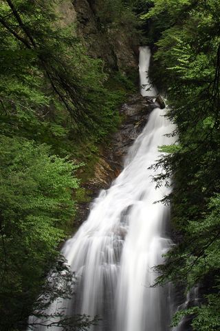 Waterfall in the Woods Photo iPhone Wallpaper