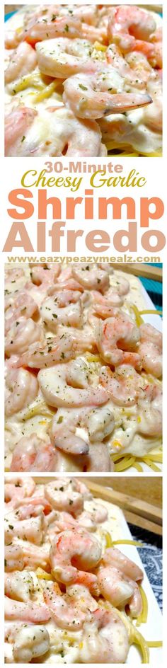 30 minutes for this cheesy garlic alfredo packed with shrimp and flavor! Perfect for a busy weeknight meal. Yum! - Eazy Peazy Mealz