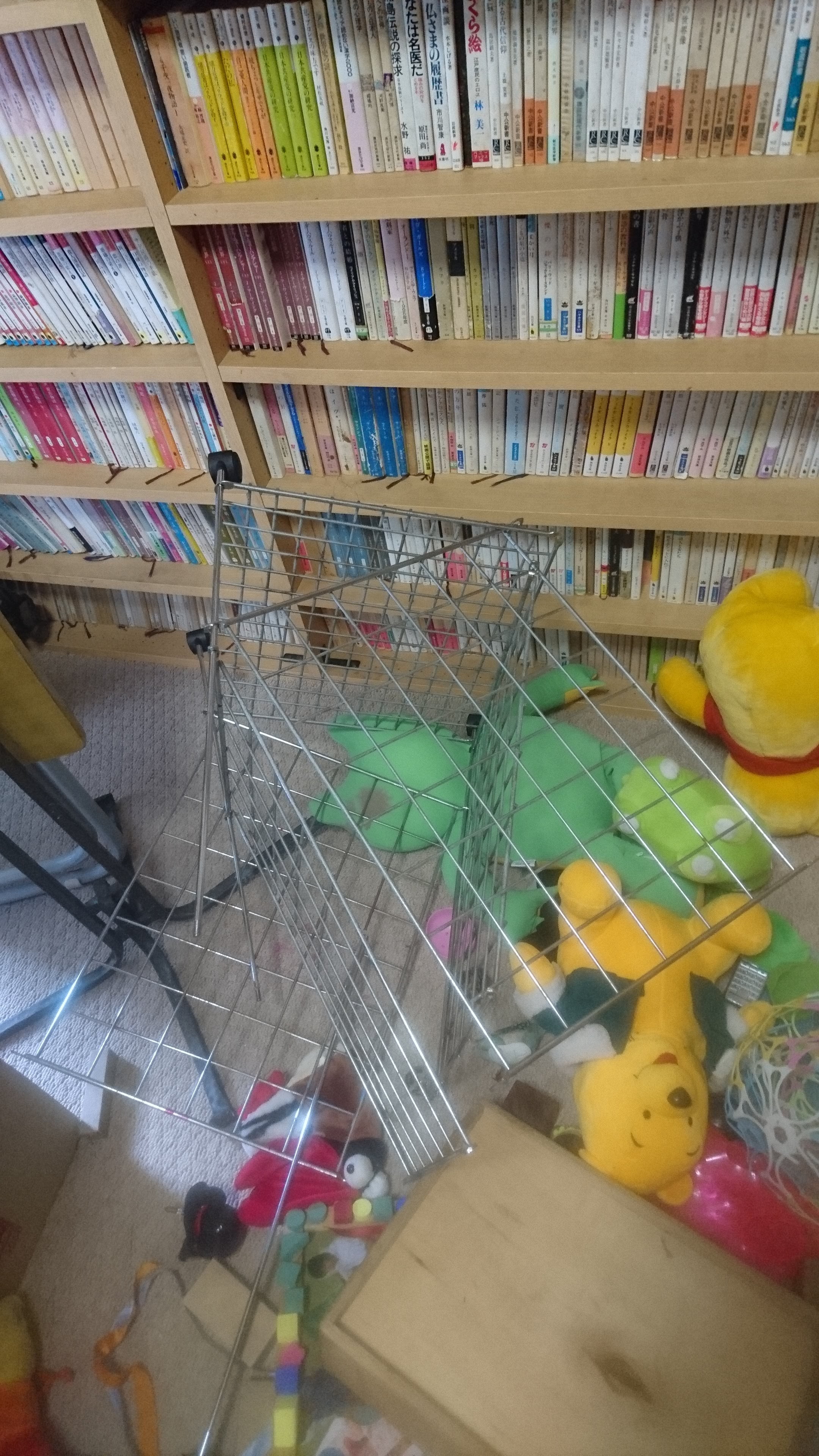 [�Ƃ��݂� ���� �e��] �u�̈�ق̃o���[�{�[������v�𗬗p�����u�ʂ�����ݓ���v �сB