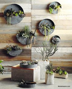 Muted+Round+Zinc+Planters+Allow+Plants+to+Shine