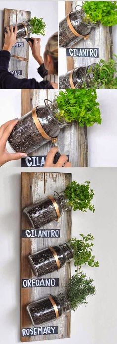 Even if you don&#39;t have a backyard or a spacious kitchen, you can have an herb garden using mason jars!