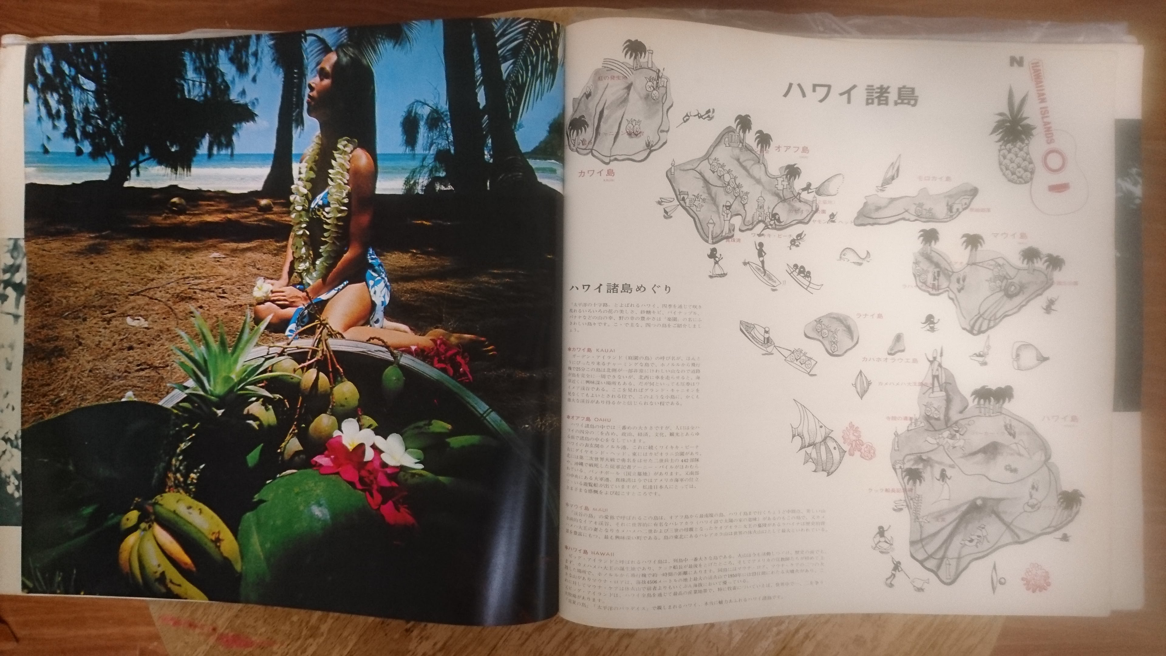 LP [BUCKIE SHIRAKATA and his ALOHA HAWAIIANS] obL[ЁunCŷׂāvST-108`9 STEREO TEICHIKU RECORDS