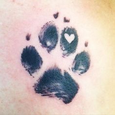 It is actually perfect. <a class="pintag searchlink" data-query="%23tattoo" data-type="hashtag" href="/search/?q=%23tattoo&rs=hashtag" rel="nofollow" title="#tattoo search Pinterest">#tattoo</a> <a class="pintag searchlink" data-query="%23zeke" data-type="hashtag" href="/search/?q=%23zeke&rs=hashtag" rel="nofollow" title="#zeke search Pinterest">#zeke</a> <a class="pintag searchlink" data-query="%23dogprinttattoo" data-type="hashtag" href="/search/?q=%23dogprinttattoo&rs=hashtag" rel="nofollow" title="#dogprinttattoo search Pinterest">#dogprinttattoo</a> <a class="pintag searchlink" data-query="%23pawprint" data-type="hashtag" href="/search/?q=%23pawprint&rs=hashtag" rel="nofollow" title="#pawprint search Pinterest">#pawprint</a> <a class="pintag searchlink" data-query="%23pawprinttattoo" data-type="hashtag" href="/search/?q=%23pawprinttattoo&rs=hashtag" rel="nofollow" title="#pawprinttattoo search Pinterest">#pawprinttattoo</a>