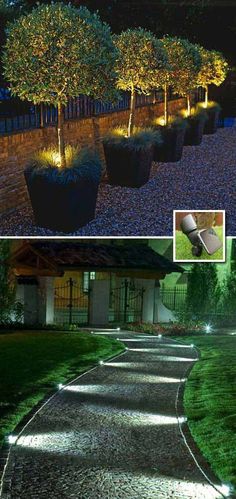 Solar spotlights will make your garden or yard look amazing at night.