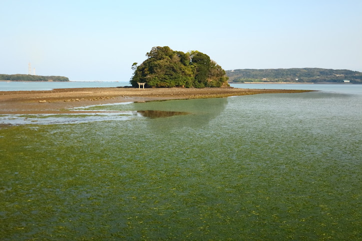 内海湾遊覧船