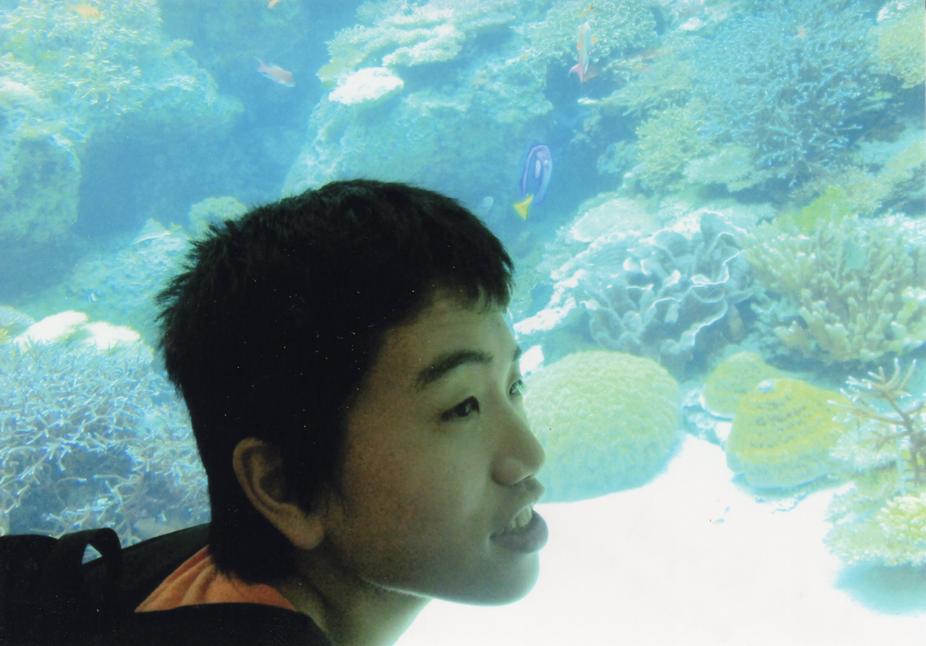 Ƃ݂ B2017NBCws͉łB