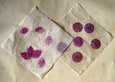 pressed flowers paper photo