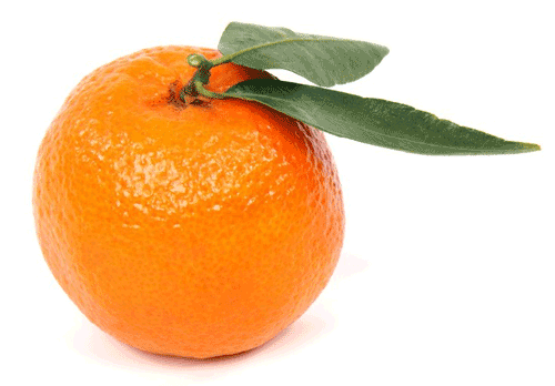 Фото мандарина на белом фоне