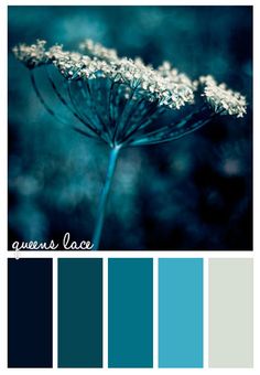 Color Palette | Paint Inspiration | Paint Colors | Paint Palette | Color | Design Inspiration