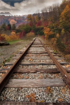 ~~Fall up the tracks | autumn, Black Mountain, North Carolina | by Todd Wall~