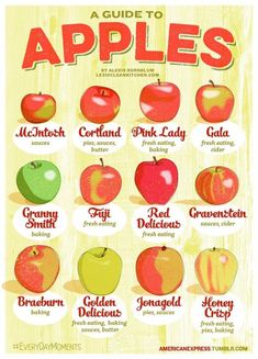 Guide To Eating And Baking With Apples - Lexi&#39;s Clean Kitchen