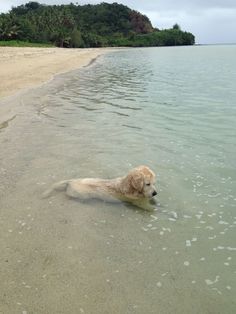 ???she sat in the water for like an hour, just staring at the water peacefully&#39;