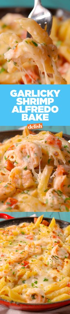 Garlicky Shrimp Alfredo Bake is full of all your favorite flavors. Get the recipe on <a href="http://Delish.com" rel="nofollow" target="_blank">Delish.com</a>.