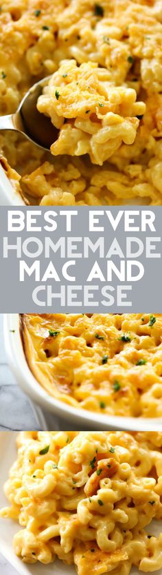 This Mac and Cheese is my mom's famous recipe. It is creamy, cheesy and completely addictive! It makes for a fabulous side dish whoever it goes and is extremely popular! There is never any left!