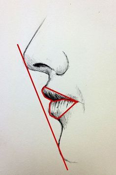 Drawing of a mouth - side view - draw a straight line to see the angle/slant nose to chin; also look for negative space to get the form of the mouth.
