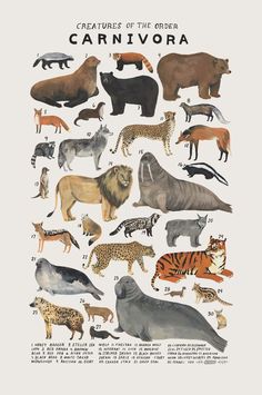 Etsy find! Animal art prints by illustrator Kelsey Oseid <a class="pintag" href="/explore/nursery/" title="#nursery explore Pinterest">#nursery</a>