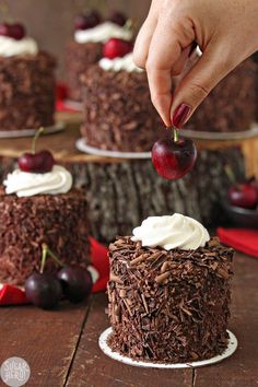 Black Forest Mini Cakes are mini layer cakes filled with moist chocolate cake, Kirsch syrup, chocolate pastry cream, and fresh cherries.