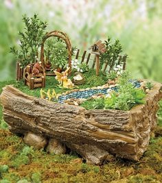 Fairy Garden Forest | Naturalist Fairy Garden | DIY Fairy Garden