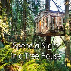 Bucket list: spend a night in a tree house yes please one day <a href="http://www.lestoitsdumonde.ca/_en/index.html" rel="nofollow" target="_blank">www.lestoitsdumon...</a>