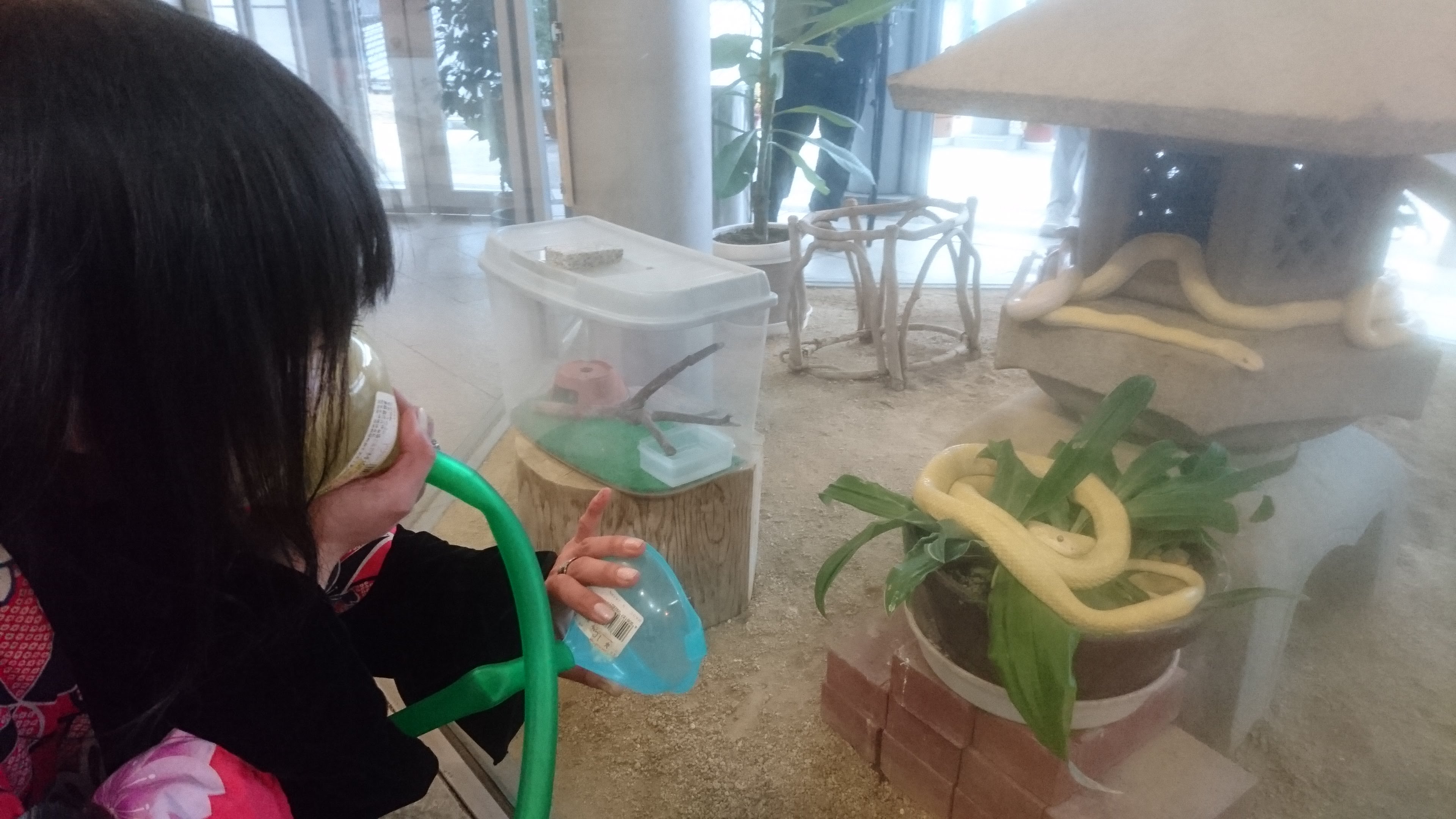 ���ւ��񂽂��Ƃ̑a�ʂ�}��h�h�R�����B(�⍑�E���֐_��)