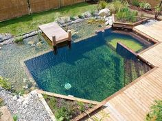 24 Backyard Natural Pools