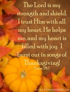 &quot;The Lord is my strength and shield... I burst out in songs of Thanksgiving!&quot; Psalm 28:7