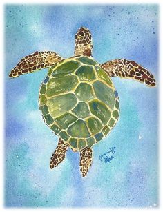 sea turtle - Jennifer Love Artwork - notecard