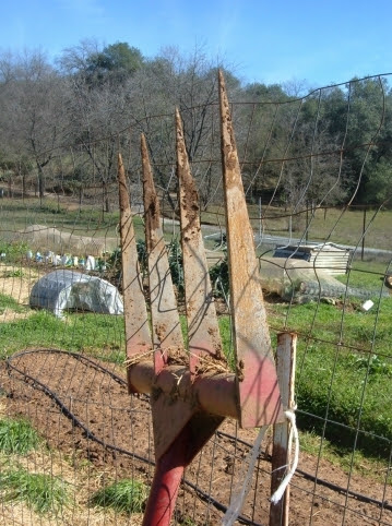 Meadow creature sale broadfork