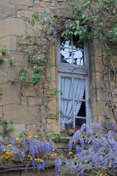 Gorgeous French blue, flower covered window near Sussex. | Ana Rosa (Should I have said FRENCH blue on an English window? Ssh!) ?????   >        