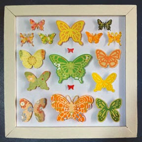 butterfly collection frame