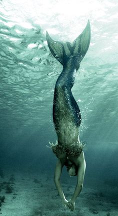 Malena Sharkey diving in Cozumel, in the stunning image that?? on the cover of Sarah Porter?? YA novel Lost Voices (photograph by Chris Crumley)