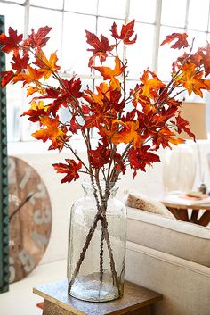 You can enjoy the fall colors anytime with a display of these handcrafted Faux Oak Leaf Stems from Pier 1. Arrange them in a vase, bundle them together or weave in some Pier1 Glimmer Strings? for an added glow.