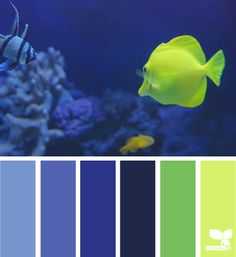 UnderwaterHues_4 possible color combos that could work in office