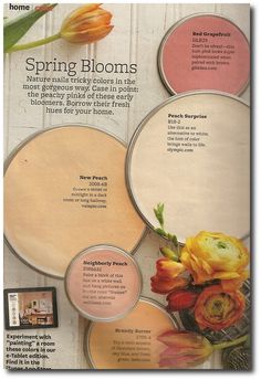 Better Home And Gardens Featured Paint Shades