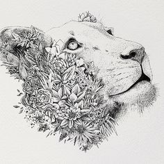 black and white lioness - Google Search
