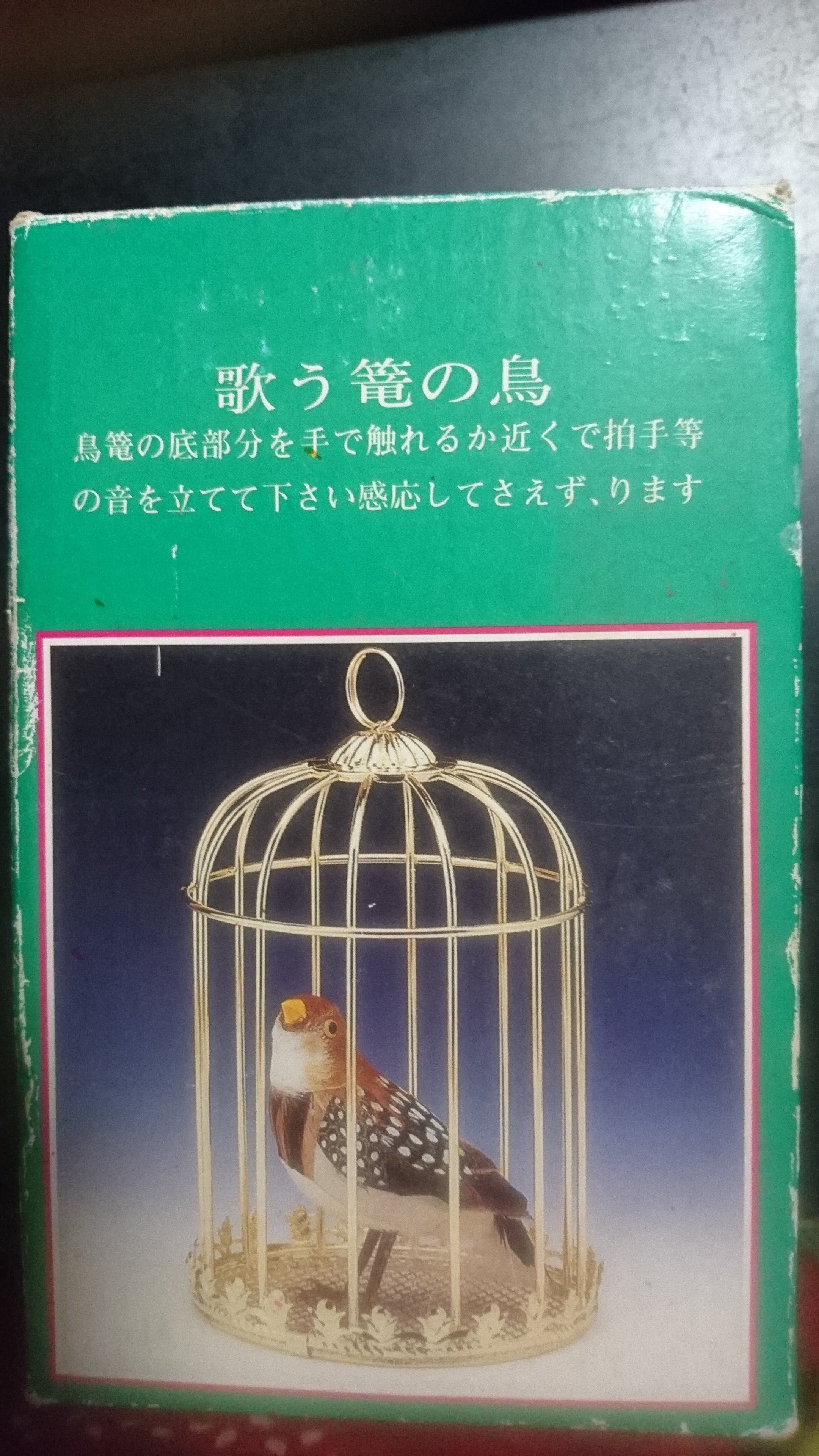 chirping bird | ̂U̒