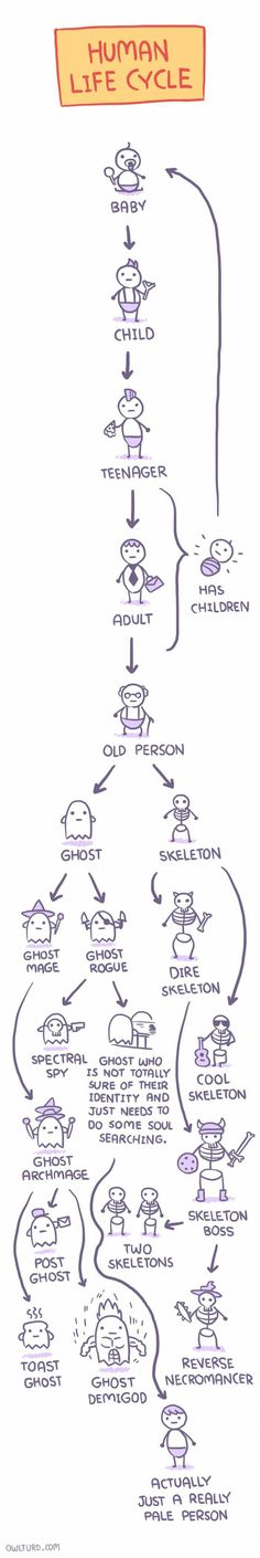Human life cycle.