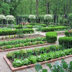 A kitchen garden, or a potager, is a French-style ornamental kitchen garden. It is generally planned for a small space and formal in design, with mostly vegetables and fruit and some cut flowers. Let's explore!