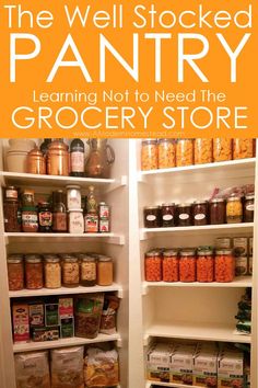 The Well Stocked Pantry - Learn how to stop relying on the grocery store and provide food security for your family! Then you will know how to eat well even in times of need, boy do I need this right now!
