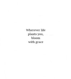 Quote | &quot;Wherever life plants you, bloom with grace.&quot;