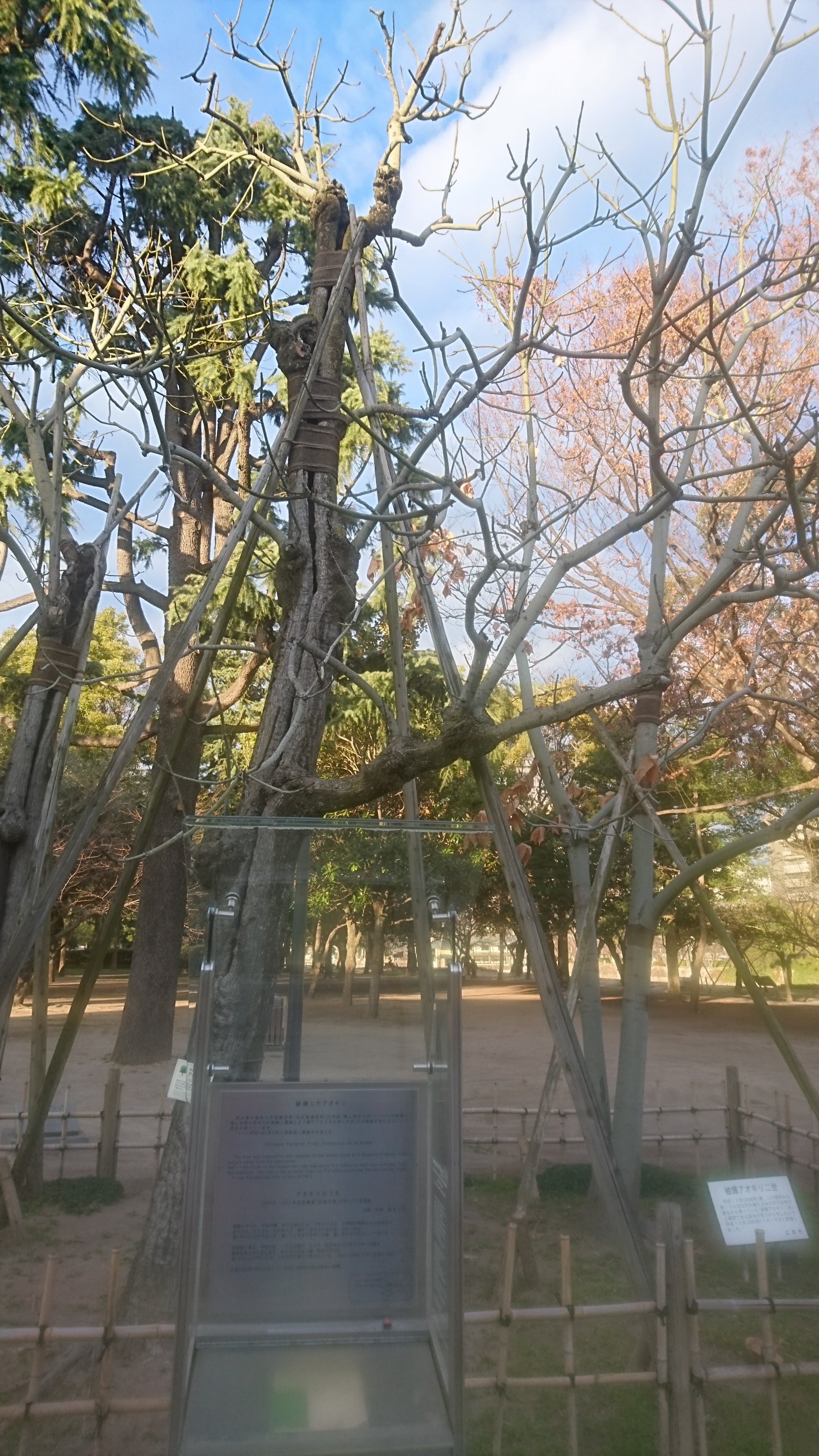 �픘�A�I�M���B