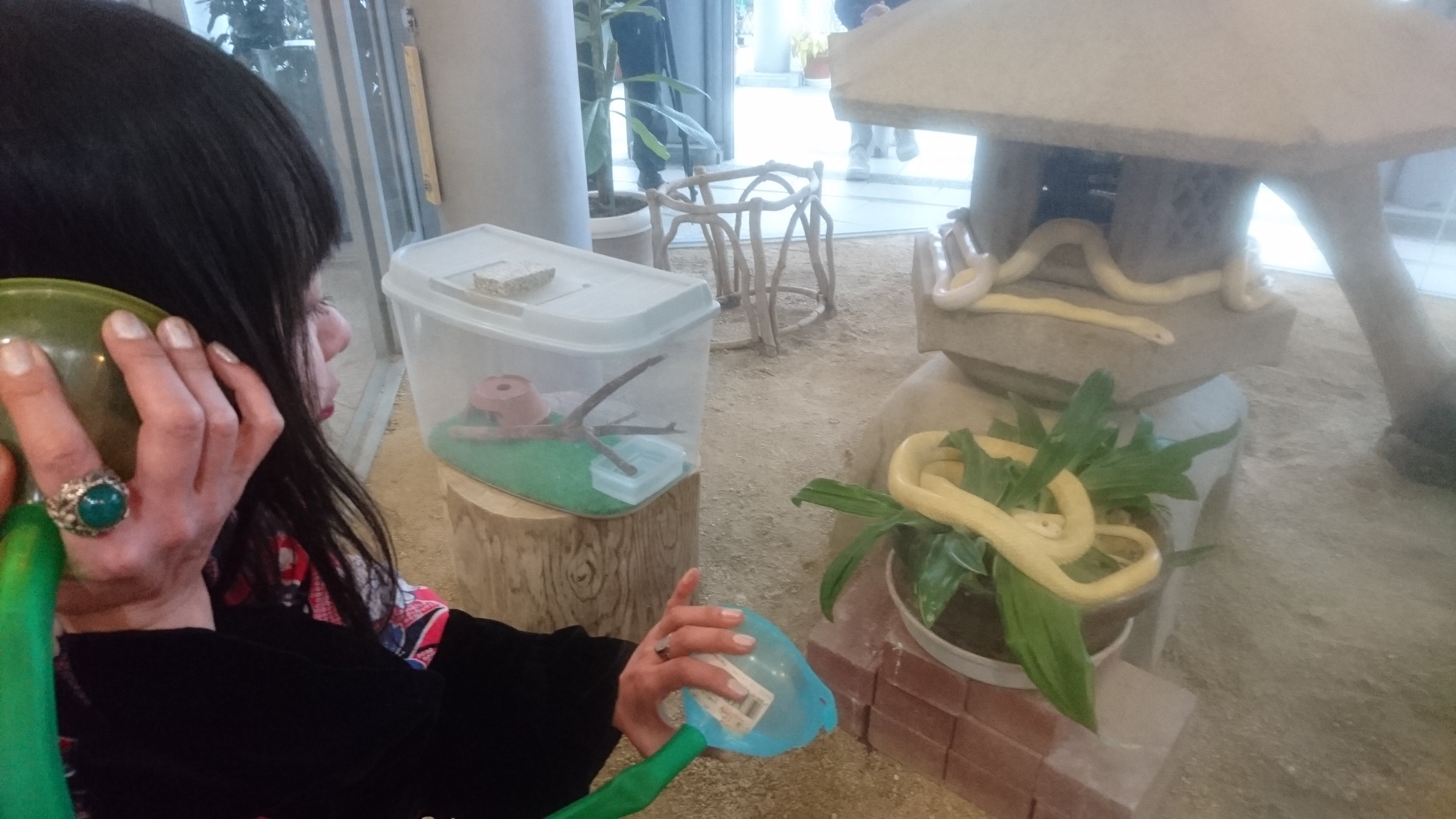 ���ւ��񂽂��Ƃ̑a�ʂ�}��h�h�R�����B(�⍑�E���֐_��)