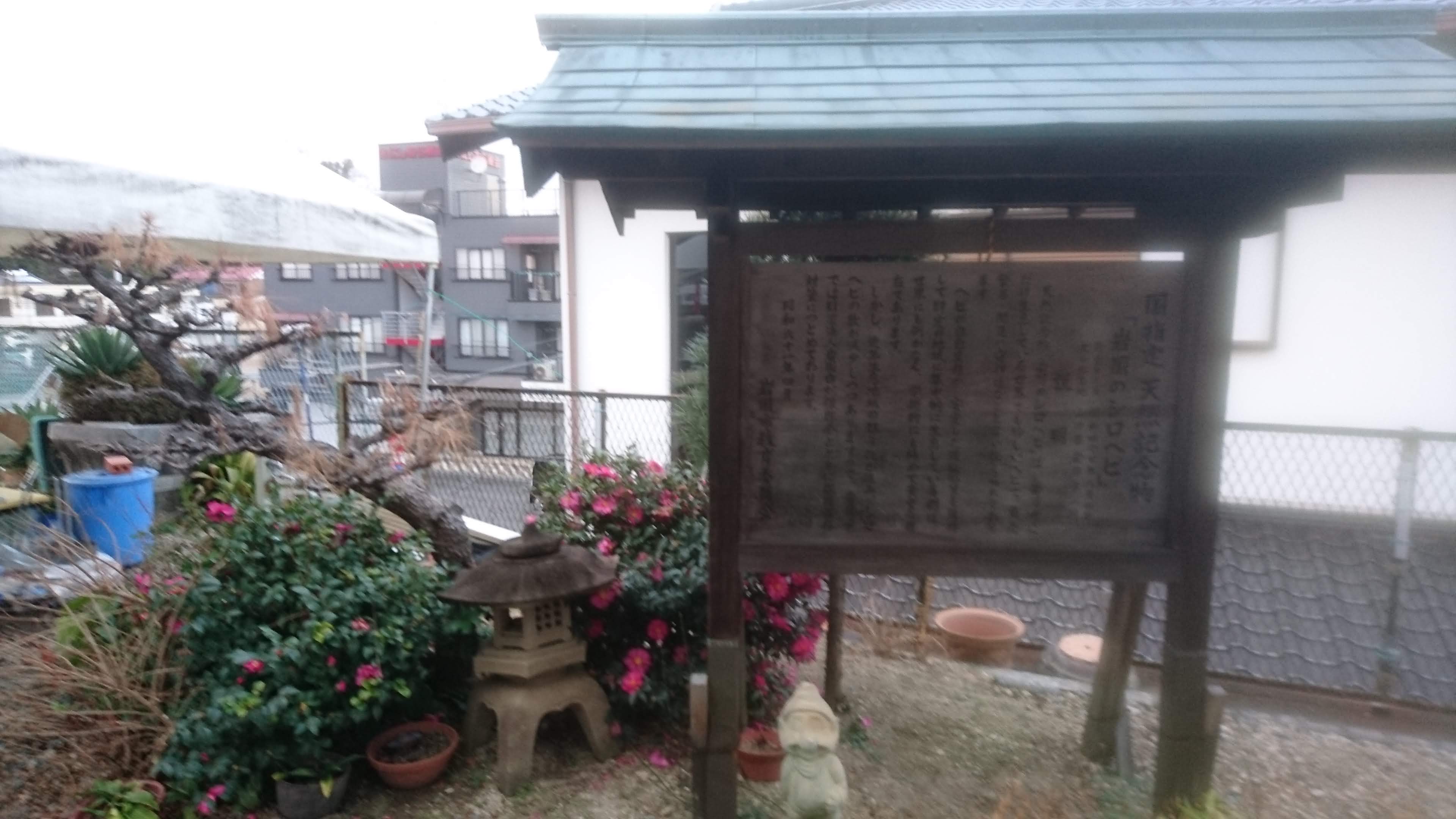 �u���Ȃ��� �ЂƂ肾�� �ǂ����� ������ ?�v