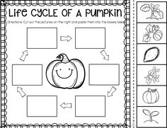 Pumpkin Activities First Grade - Pumpkin Time - Ship Shape First Grade