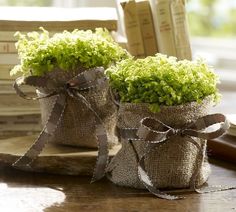 Cover your potted plants with burlap and a ribbon...sweet