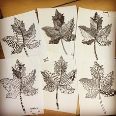 Line Art Leaves. Start with my PDF leaf template and finish with your own detailed patterns. These were done by 2nd graders.