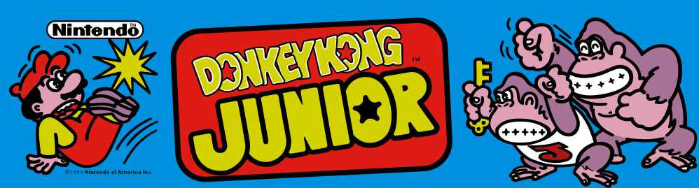 Donkey Kong Junior