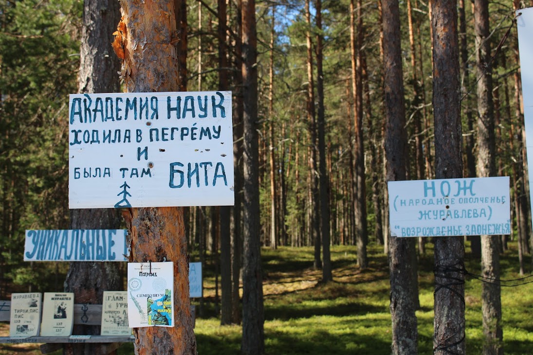 Июль 2018. Месяц на Севере. Заонежье, часть 3, Пегрема камней, можно, следы, около, однозначно, Журавлев, деревни, здесь, которых, взгляд, только, камни, части, Журавлева, абсолютно, назад, палатку, лодку, найти, находки